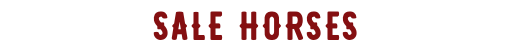 SALE HORSES